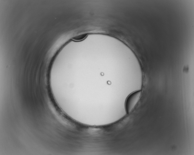 X0000115220055200911251540