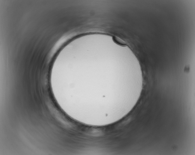 X0000115220056200911251540