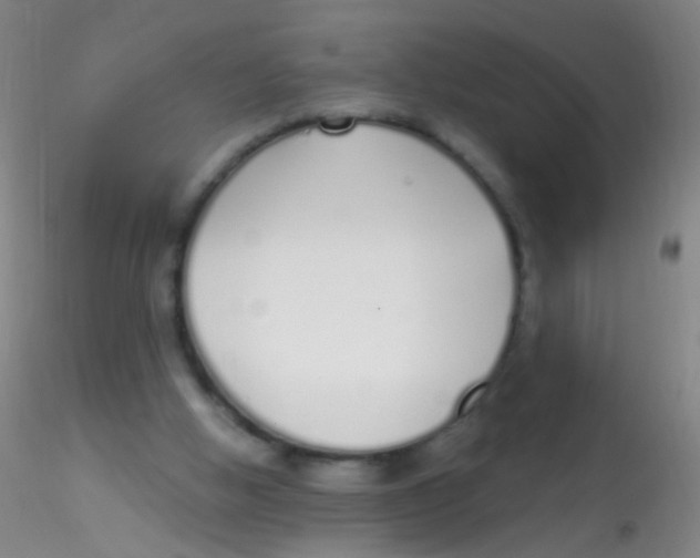 X0000115220058200911251540