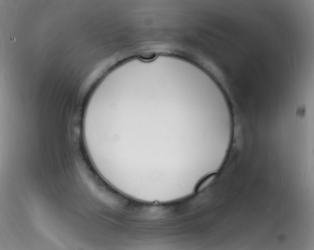 X0000115220059200911251540
