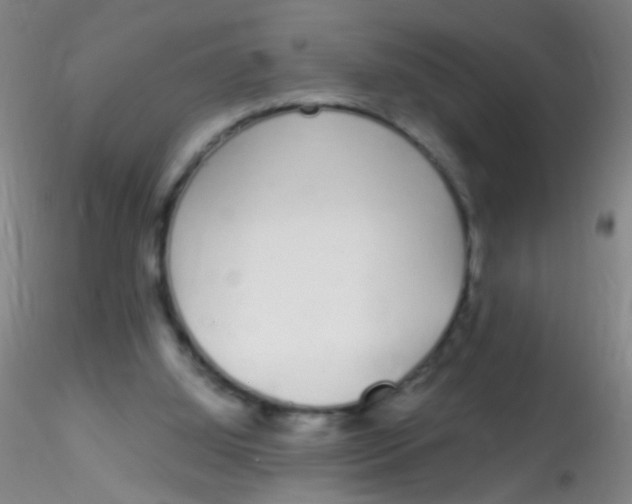 X0000115220060200911251540
