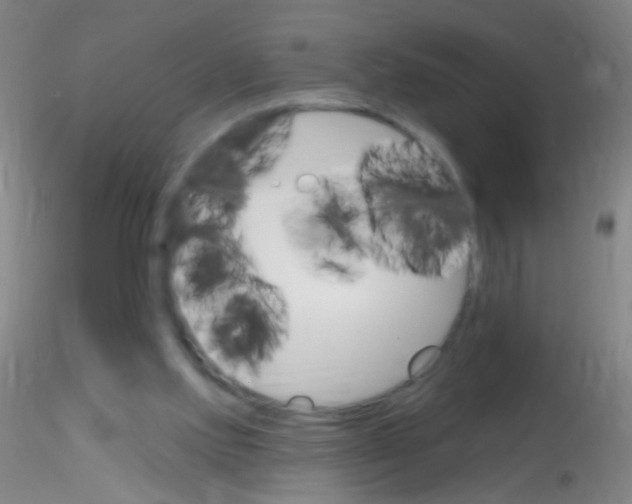X0000115220061200911251540