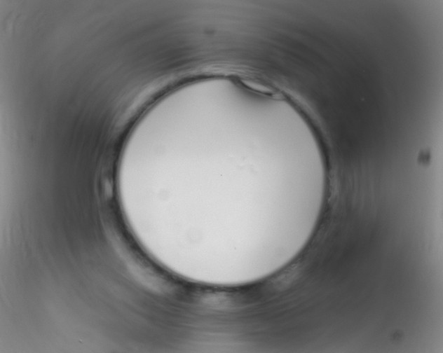 X0000115220062200911251540