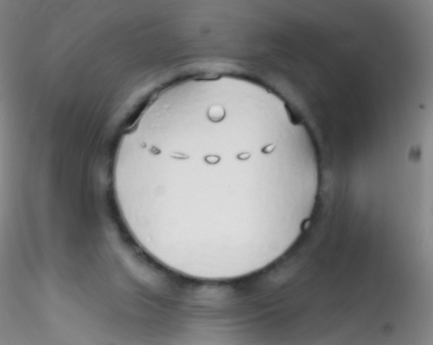 X0000115220063200911251540