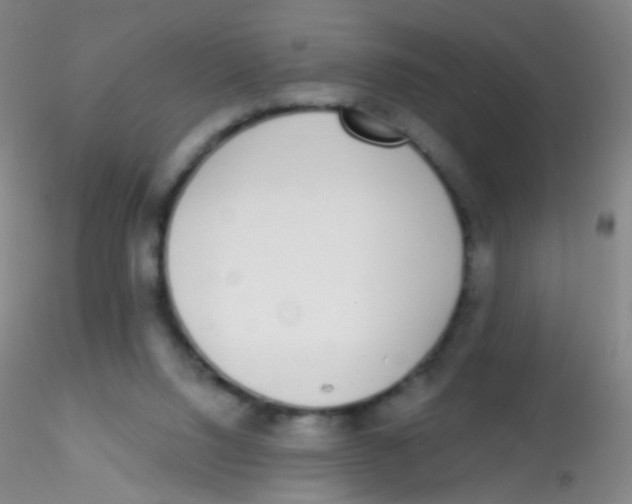 X0000115220064200911251540