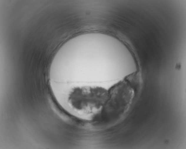 X0000115220065200911251540