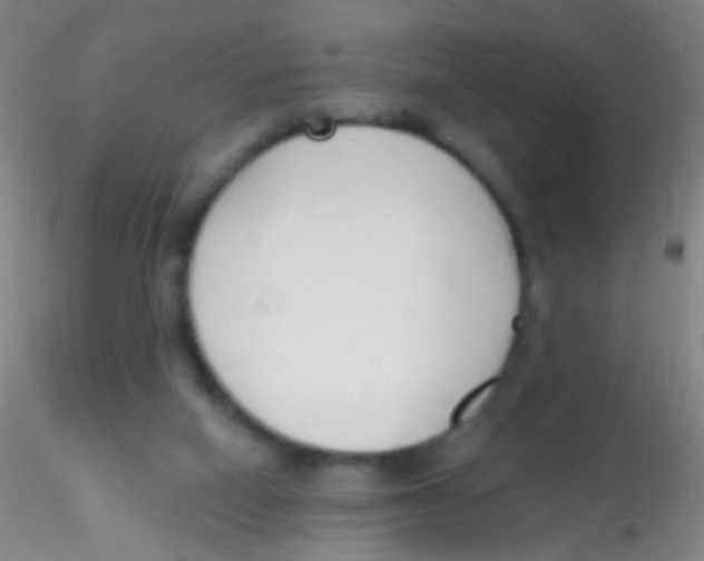 X0000115220066200911251540