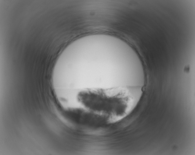 X0000115220069200911251540
