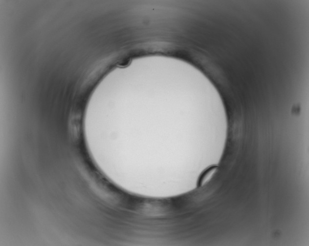 X0000115220070200911251540