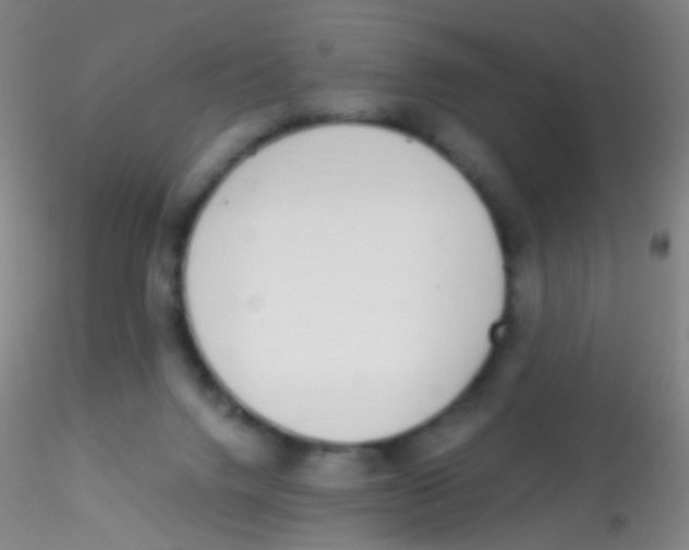 X0000115220072200911251540