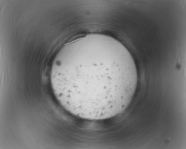 X0000115220074200911251540