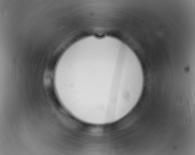 X0000115220075200911251540