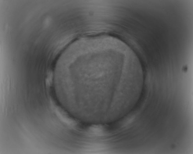 X0000115220076200911251540