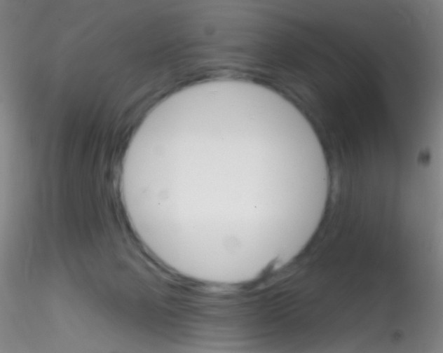 X0000115220077200911251541