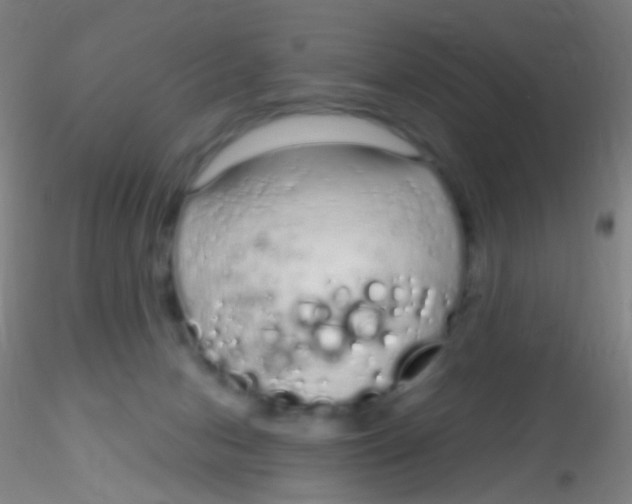 X0000115220078200911251541