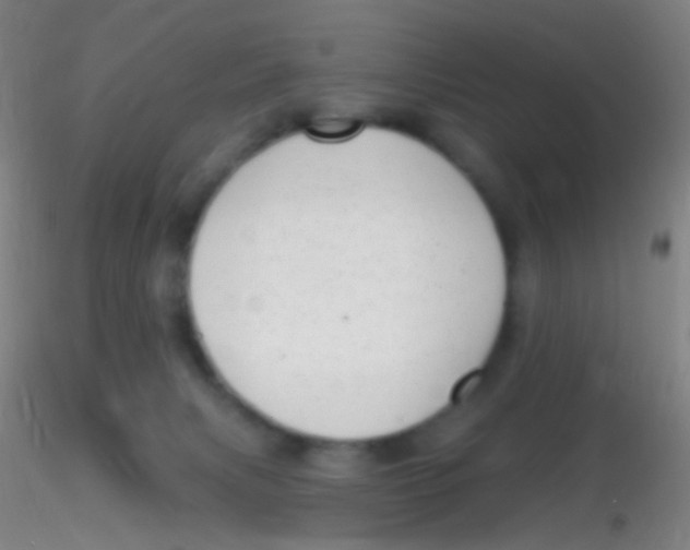 X0000115220079200911251541
