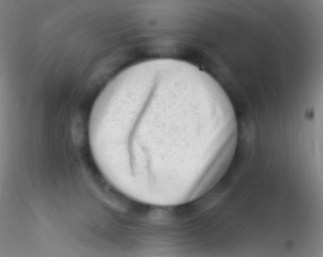 X0000115220080200911251541