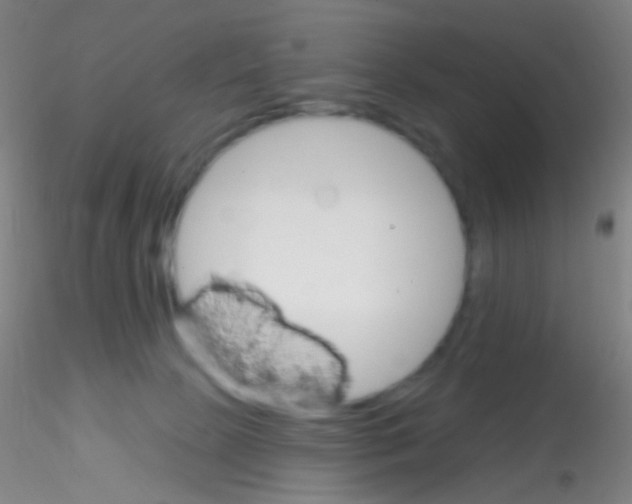 X0000115220081200911251541