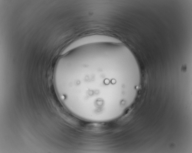 X0000115220082200911251541