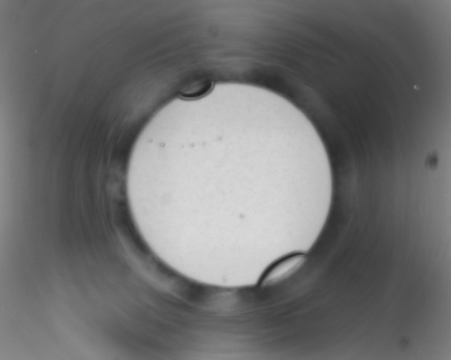 X0000115220083200911251541