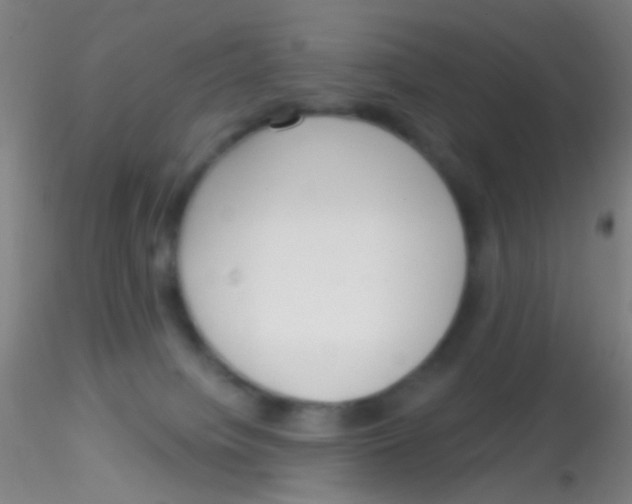 X0000115220084200911251541