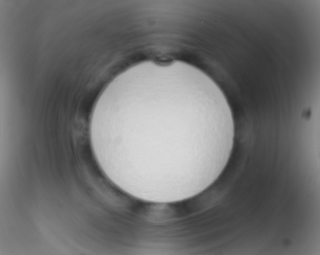 X0000115220087200911251541