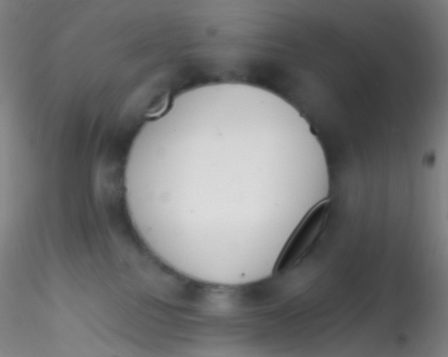X0000115220088200911251541