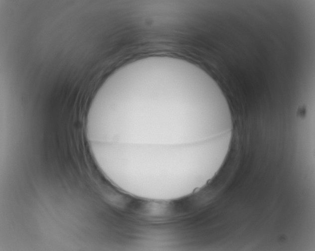 X0000115220089200911251541