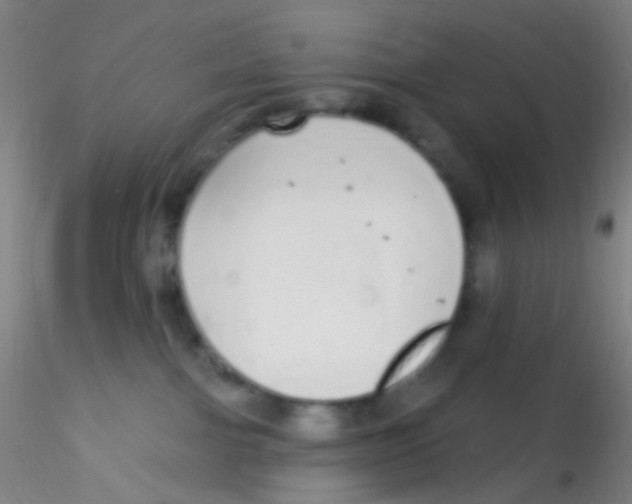 X0000115220091200911251541