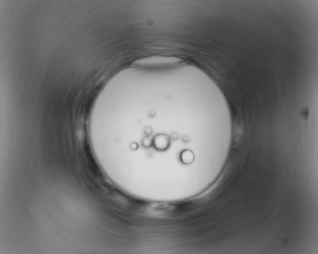 X0000115220094200911251541