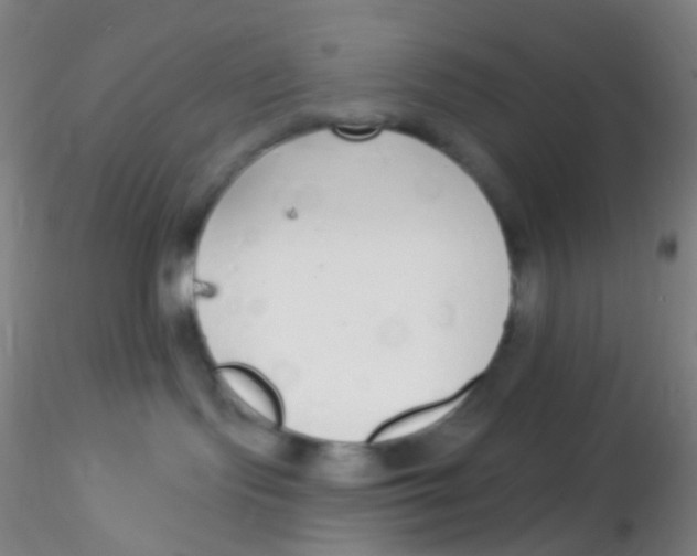 X0000115220095200911251541