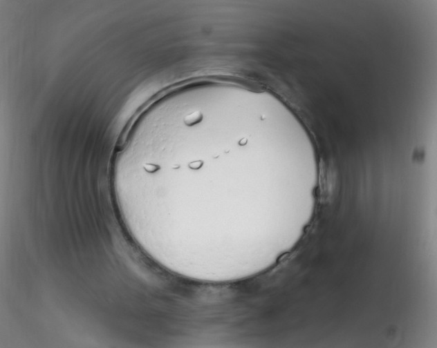 X0000115220099200911251540