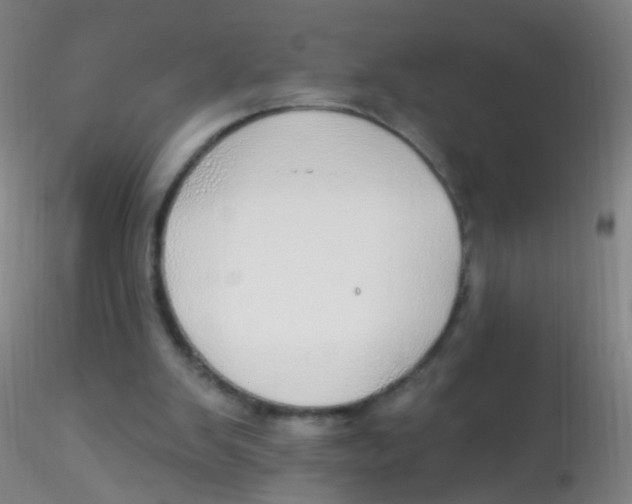 X0000115220103200911251540