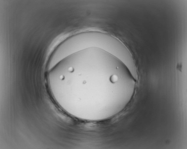 X0000115220104200911251540