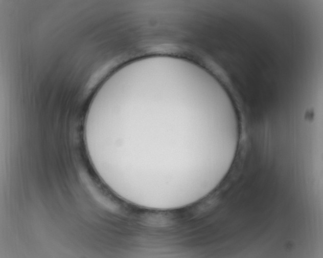 X0000115220106200911251540