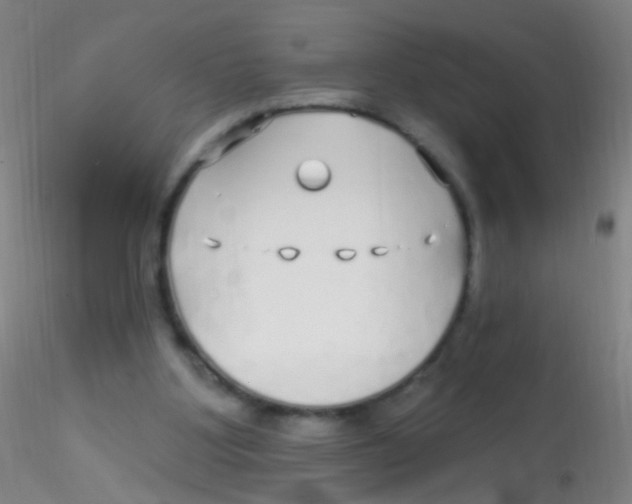 X0000115220107200911251540