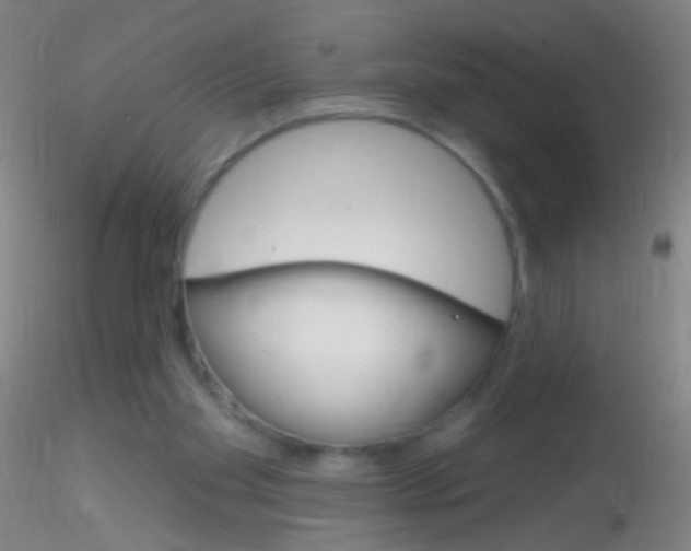 X0000115220109200911251540