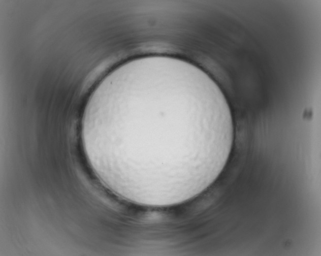X0000115220111200911251540
