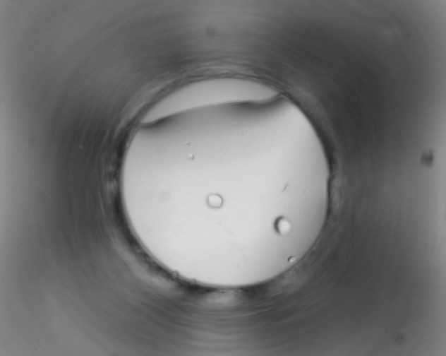 X0000115220116200911251540