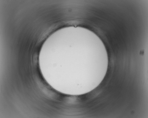 X0000115220118200911251540