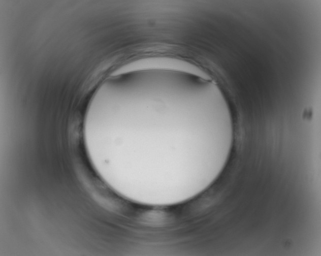 X0000115220119200911251540