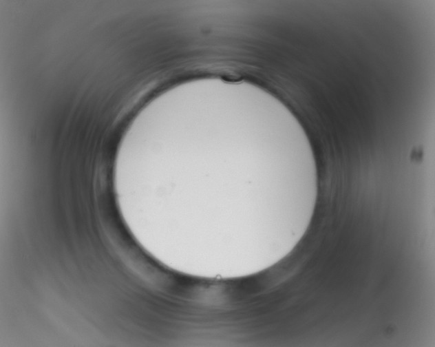 X0000115220120200911251540