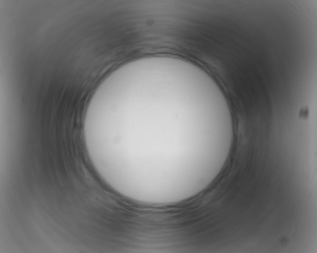 X0000115220121200911251540