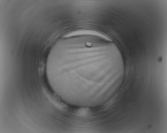 X0000115220124200911251540