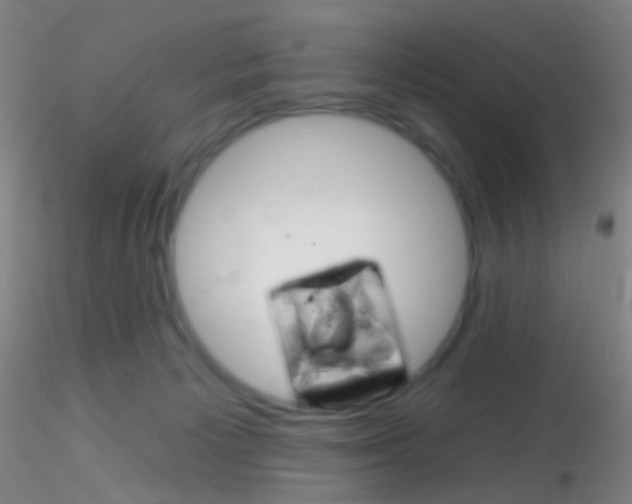 X0000115220125200911251540