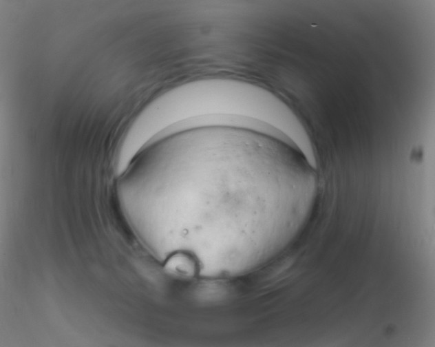 X0000115220127200911251540