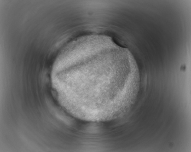 X0000115220128200911251540