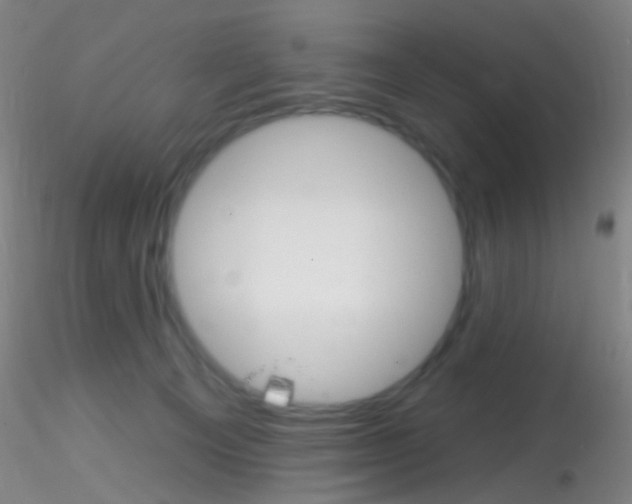 X0000115220129200911251539