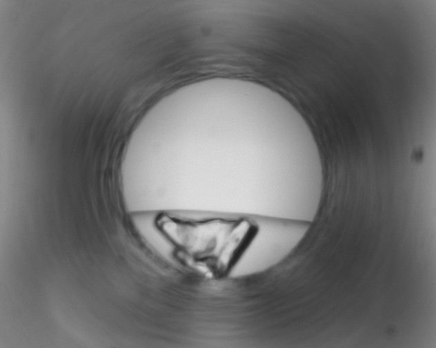 X0000115220137200911251539