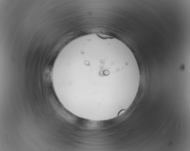 X0000115220142200911251539